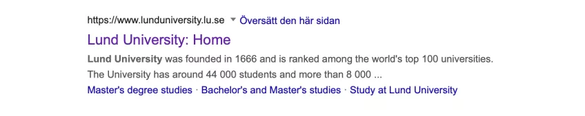 visning av gränssnitt i sökmotor. Skärmdump.