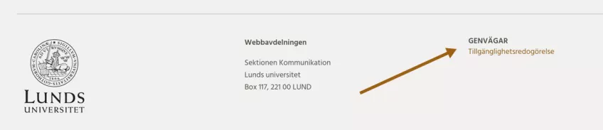 Skärmdump - länk till tillganglighetsredogorelse